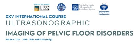 XXV International course ultrasonographic imaging of pelvic floor disorders
